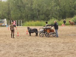 img_9501_web